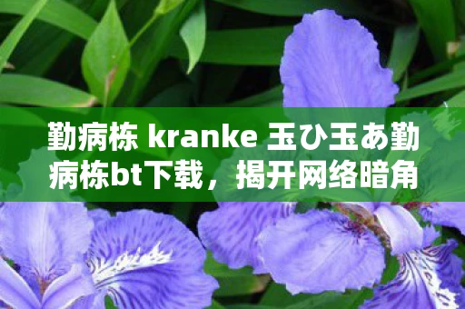 勤病栋 kranke 玉ひ玉あ勤病栋bt下载,揭开网络暗角的神秘面纱 勤病栋 kranke 玉ひ玉あ勤病栋bt下载,揭开网络暗角的神秘面纱