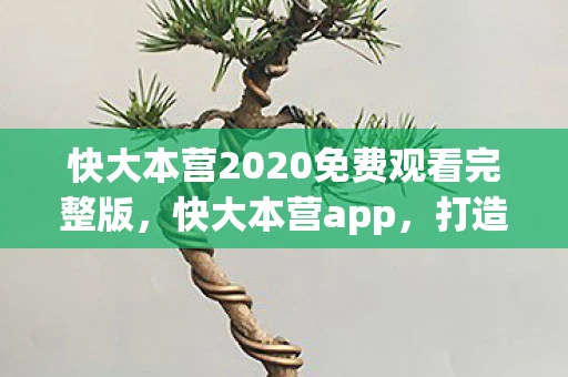 快大本营2020免费观看完整版，快大本营app，打造娱乐新生态，引领互动新潮流
