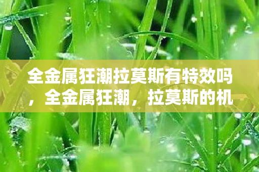 全金属狂潮拉莫斯有特效吗,全金属狂潮,拉莫斯的机械之心 全金属狂潮拉莫斯有特效吗,全金属狂潮,拉莫斯的机械之心
