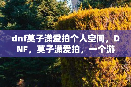 dnf莫子潇爱拍个人空间，DNF，莫子潇爱拍，一个游戏主播的崛起之路