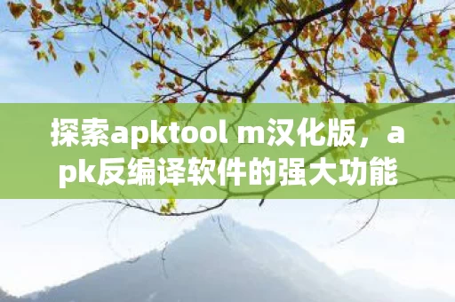 探索apktool m汉化版图片