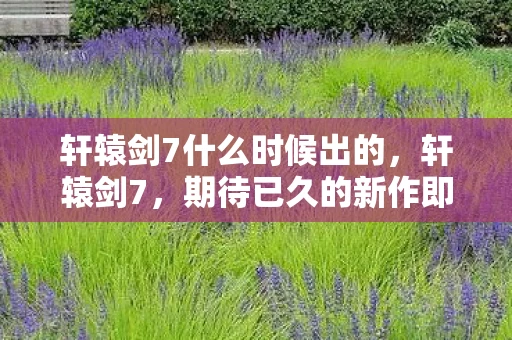 轩辕剑7什么时候出的，轩辕剑7，期待已久的新作即将登场