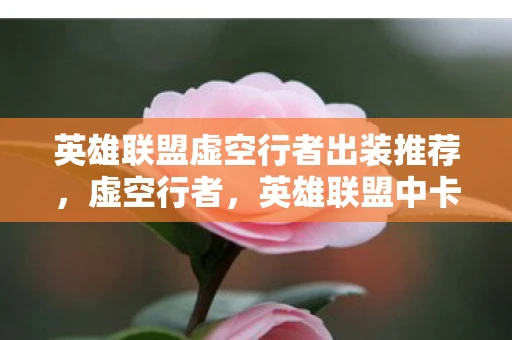 英雄联盟虚空行者出装推荐，虚空行者，英雄联盟中卡萨丁的出装指南