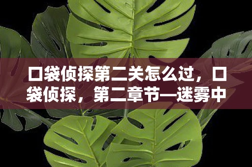 口袋侦探第二关怎么过，口袋侦探，第二章节—迷雾中的真相