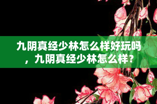 九阴真经少林怎么样好玩吗，九阴真经少林怎么样？