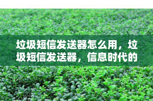 垃圾短信发送器怎么用，垃圾短信发送器，信息时代的牛皮癣