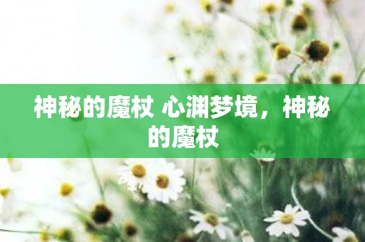 神秘的魔杖 心渊梦境，神秘的魔杖