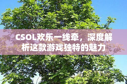 深度解析这款游戏独特的魅力图片