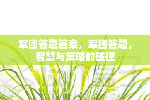 军团答题答案，军团答题，智慧与策略的碰撞