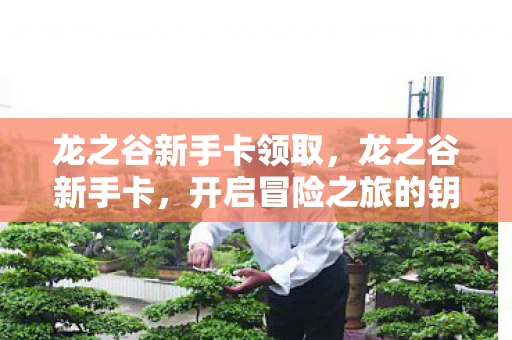 龙之谷新手卡领取，龙之谷新手卡，开启冒险之旅的钥匙