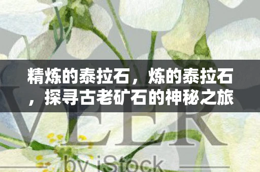 精炼的泰拉石,炼的泰拉石,探寻古老矿石的神秘之旅 精炼的泰拉石,炼的泰拉石,探寻古老矿石的神秘之旅