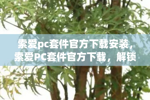索爱pc套件官方下载安装，索爱PC套件官方下载，解锁手机与电脑互联的新境界
