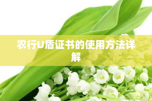 农行U盾证书的使用方法详解图片
