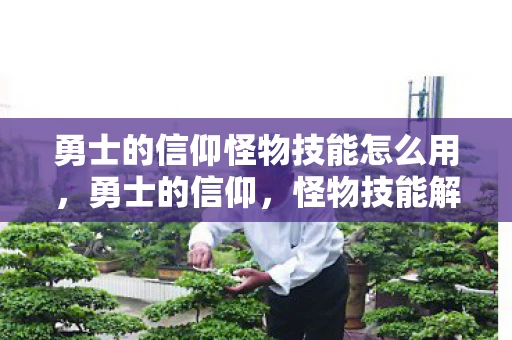 勇士的信仰怪物技能怎么用，勇士的信仰，怪物技能解析