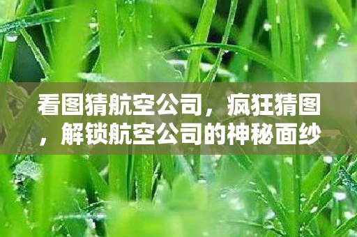 看图猜航空公司,疯狂猜图,解锁航空公司的神秘面纱 看图猜航空公司,疯狂猜图,解锁航空公司的神秘面纱