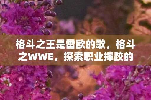 格斗之王是雷欧的歌，格斗之WWE，探索职业摔跤的激情与魅力