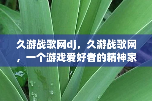 久游战歌网dj，久游战歌网，一个游戏爱好者的精神家园