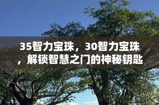 35智力宝珠,30智力宝珠,解锁智慧之门的神秘钥匙 35智力宝珠,30智力宝珠,解锁智慧之门的神秘钥匙