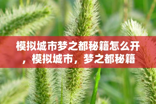 模拟城市梦之都秘籍怎么开,模拟城市,梦之都秘籍 模拟城市梦之都秘籍怎么开,模拟城市,梦之都秘籍