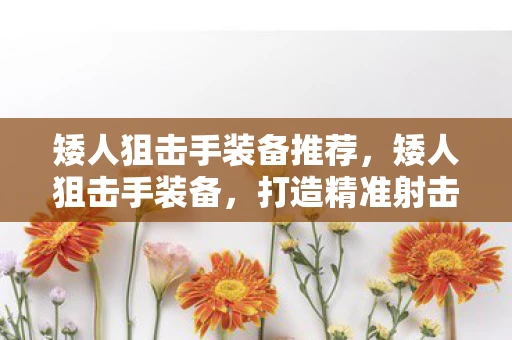 矮人狙击手装备推荐,矮人狙击手装备,打造精准射击的传奇 矮人狙击手装备推荐,矮人狙击手装备,打造精准射击的传奇