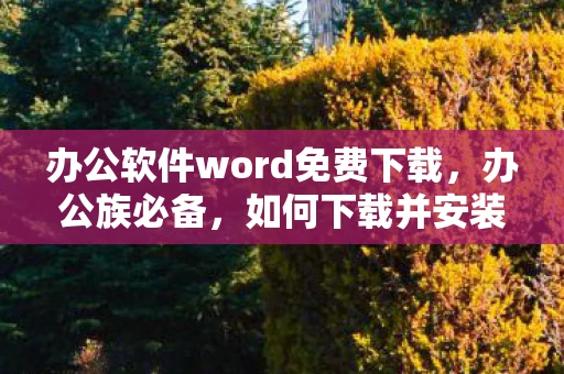 办公软件word免费下载，办公族必备，如何下载并安装Word 2003