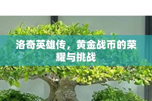 黄金战币的荣耀与挑战图片