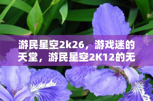 游民星空2k26，游戏迷的天堂，游民星空2K12的无限可能
