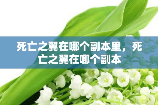 死亡之翼在哪个副本里，死亡之翼在哪个副本