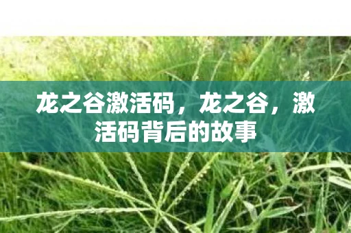 龙之谷激活码，龙之谷，激活码背后的故事