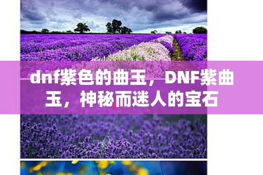 dnf紫色的曲玉,DNF紫曲玉,神秘而迷人的宝石 dnf紫色的曲玉,DNF紫曲玉,神秘而迷人的宝石