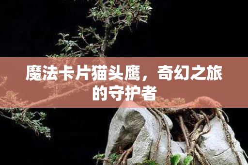 奇幻之旅的守护者图片