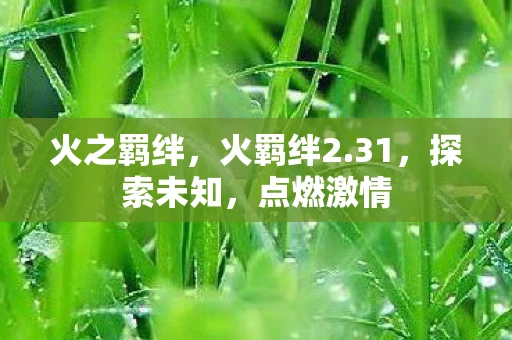 火之羁绊，火羁绊2.31，探索未知，点燃激情