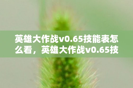 英雄大作战v0.65技能表怎么看，英雄大作战v0.65技能表详解