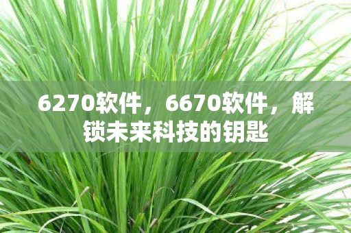 6270软件,6670软件,解锁未来科技的钥匙 6270软件,6670软件,解锁未来科技的钥匙