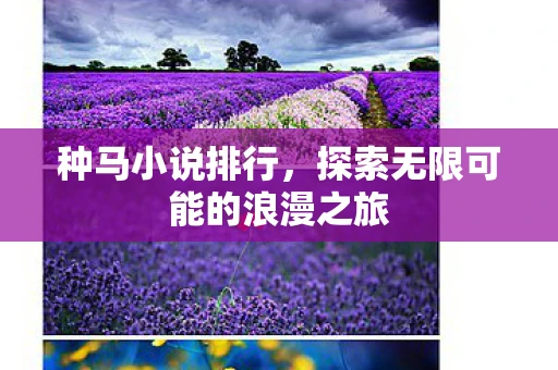 种马小说排行，探索无限可能的浪漫之旅
