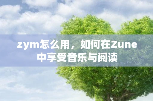 zym怎么用，如何在Zune中享受音乐与阅读