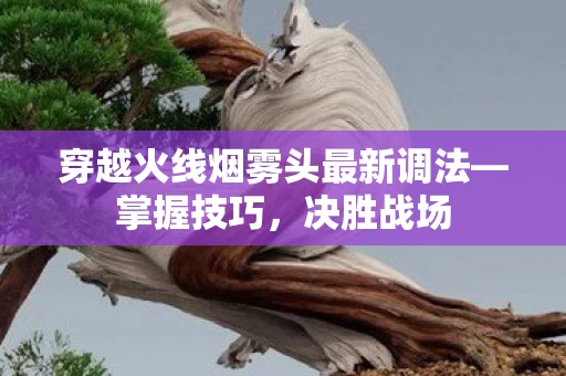 穿越火线烟雾头最新调法图片