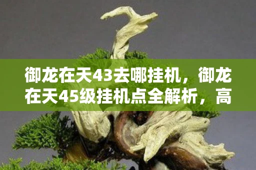 御龙在天43去哪挂机，御龙在天45级挂机点全解析，高效、安全、收益最大化