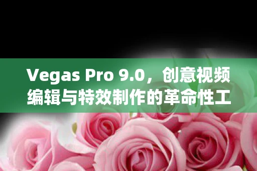 Vegas Pro 9.0，创意视频编辑与特效制作的革命性工具