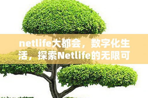 netlife大都会，数字化生活，探索Netlife的无限可能
