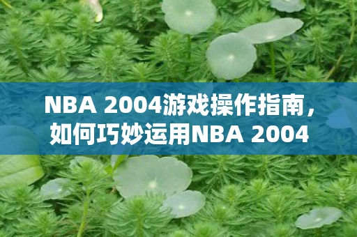 NBA 2004游戏操作指南图片