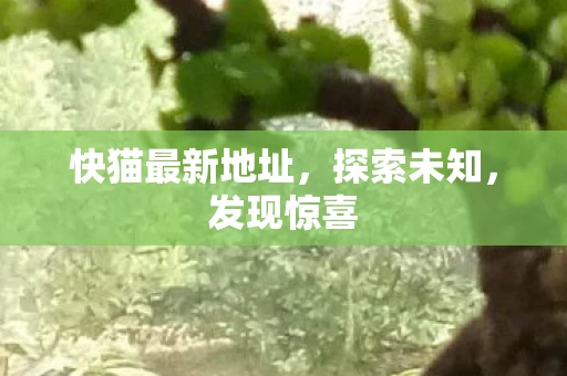 快猫最新地址，探索未知，发现惊喜
