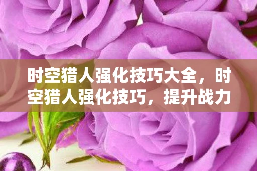 时空猎人强化技巧大全，时空猎人强化技巧，提升战力，轻松通关