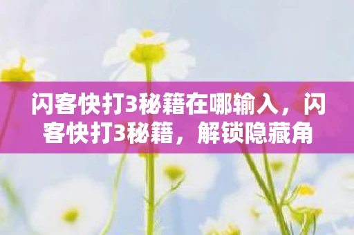 闪客快打3秘籍在哪输入，闪客快打3秘籍，解锁隐藏角色与无限金币的终极攻略