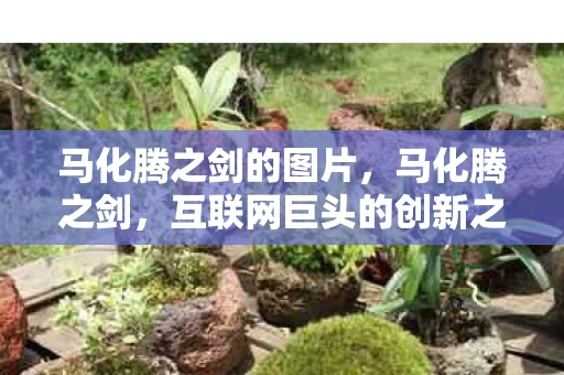 马化腾之剑的图片,马化腾之剑,互联网巨头的创新之路与未来展望 马化腾之剑的图片,马化腾之剑,互联网巨头的创新之路与未来展望