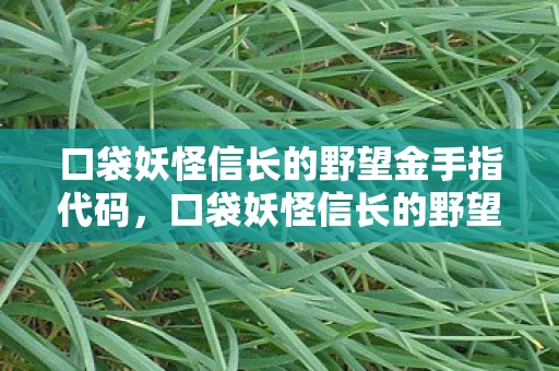 口袋妖怪信长的野望金手指代码，口袋妖怪信长的野望金手指，解锁无限可能的冒险之旅