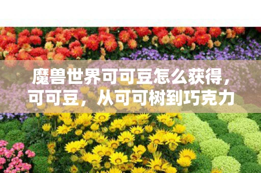 魔兽世界可可豆怎么获得，可可豆，从可可树到巧克力的奇妙旅程