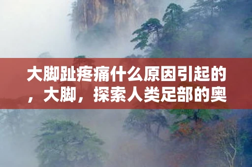 大脚趾疼痛什么原因引起的，大脚，探索人类足部的奥秘