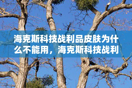 海克斯科技战利品皮肤为什么不能用，海克斯科技战利商店，解锁无限可能的神秘之地