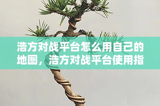 浩方对战平台怎么用自己的地图，浩方对战平台使用指南，从新手到高手的全方位教程